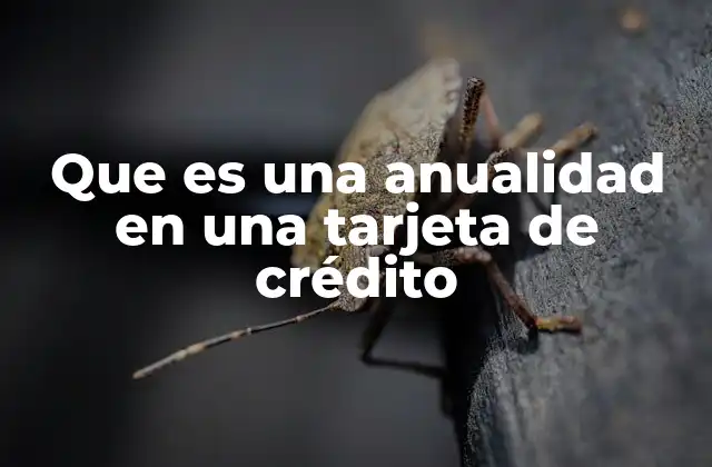 Que es una Anualidad en una Tarjeta de Crédito
