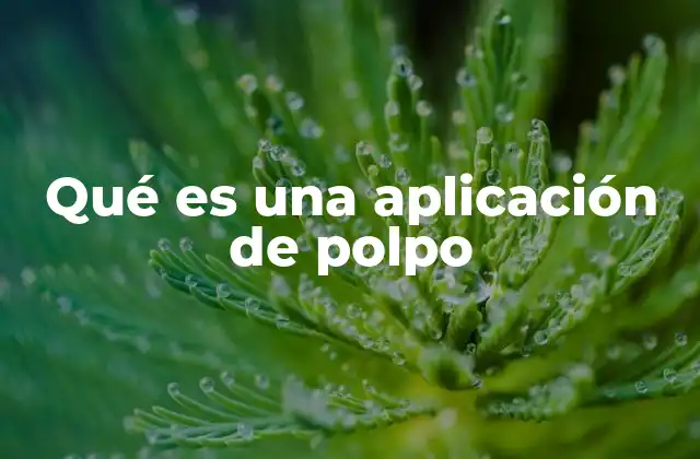 Qué es una Aplicación de Polpo