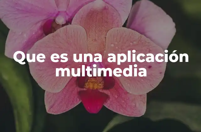 Que es una Aplicación Multimedia