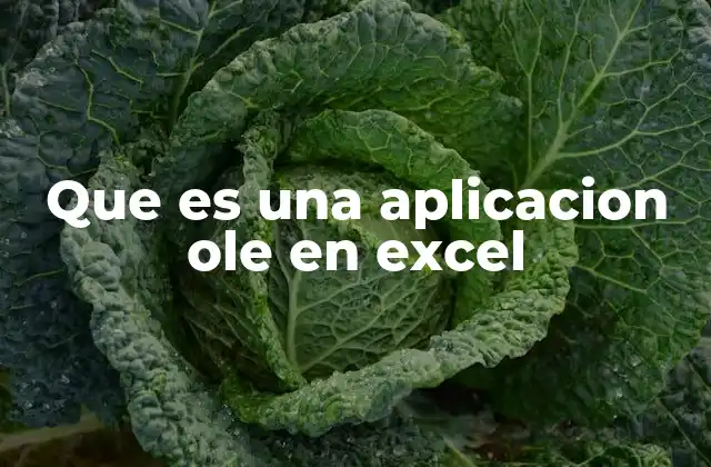 Que es una Aplicacion Ole en Excel