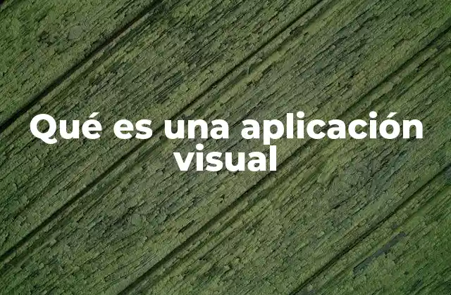 Qué es una Aplicación Visual
