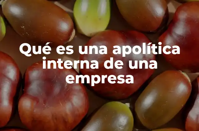 Qué es una Apolítica Interna de una Empresa