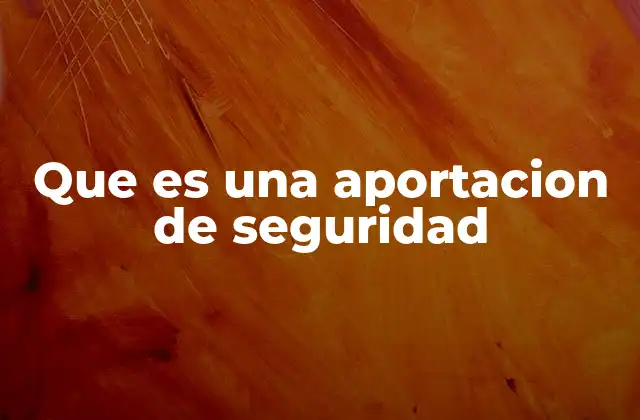 Que es una Aportacion de Seguridad