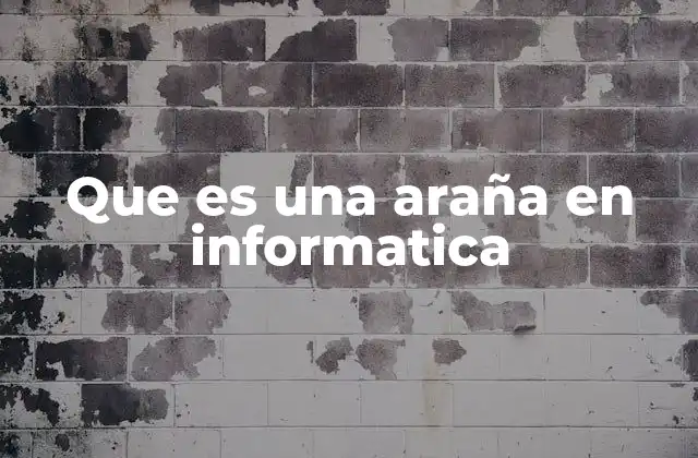 Que es una Araña en Informatica