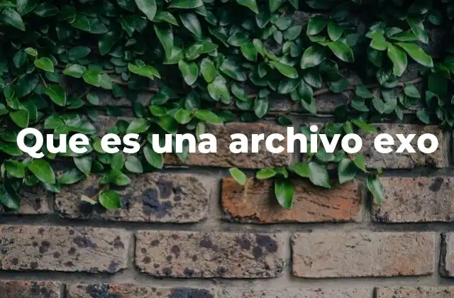 Que es una Archivo Exo