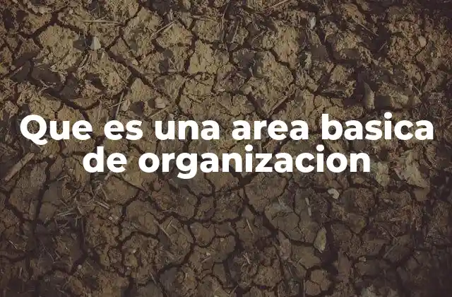 Que es una Area Basica de Organizacion