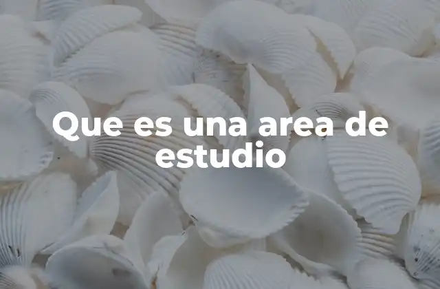 Que es una Area de Estudio