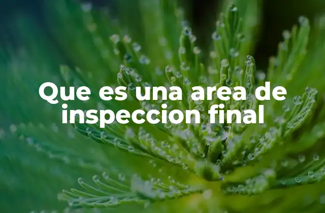 Que es una Area de Inspeccion Final