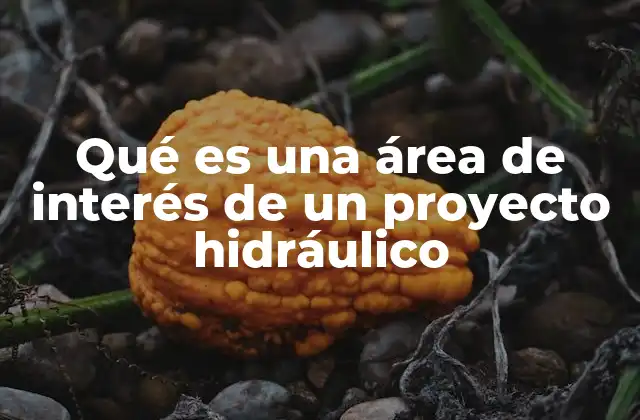 Qué es una Área de Interés de un Proyecto Hidráulico