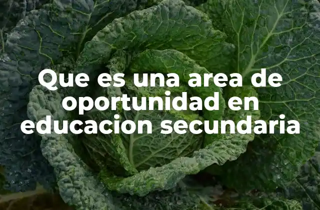 Que es una Area de Oportunidad en Educacion Secundaria