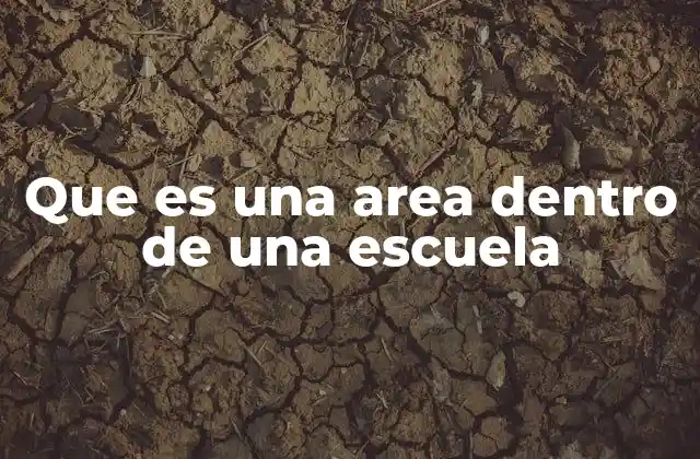 La importancia de las áreas en la organización escolar