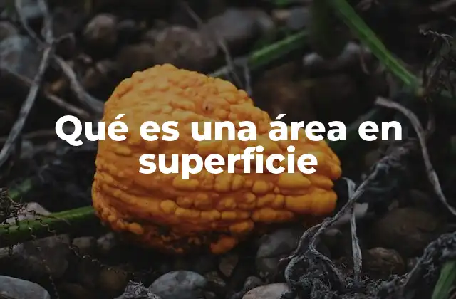La importancia del cálculo de superficies en la vida cotidiana