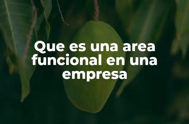 Que es una Area Funcional en una Empresa