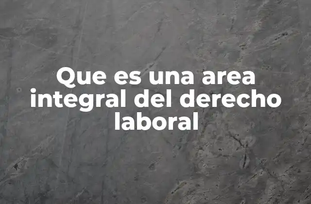 Que es una Area Integral Del Derecho Laboral 2 La importancia de abordar el derecho laboral desde una perspectiva amplia