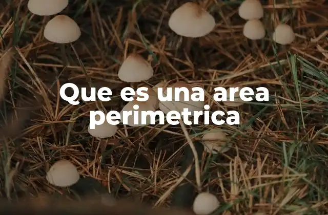Que es una Area Perimetrica