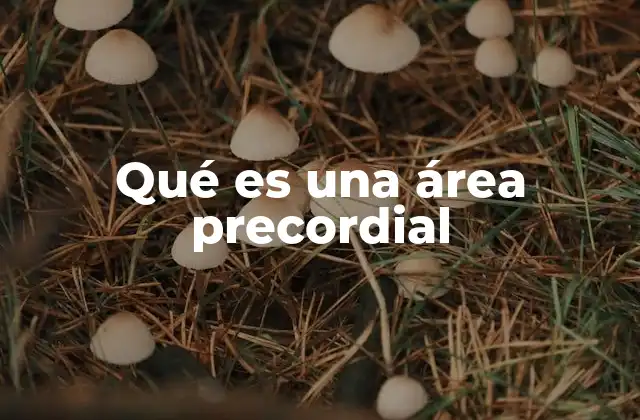 Qué es una Área Precordial