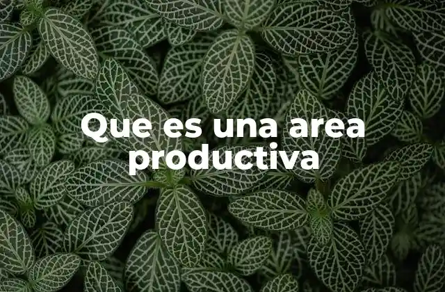 Que es una Area Productiva