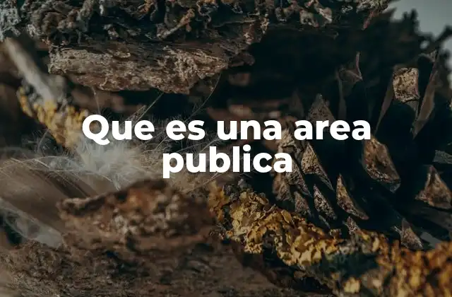 Que es una Area Publica