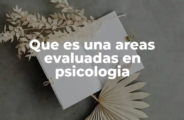 Que es una Areas Evaluadas en Psicologia 2 La importancia de evaluar en múltiples dimensiones