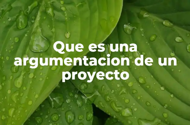 Que es una Argumentacion de un Proyecto