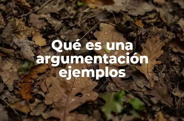 Qué es una Argumentación Ejemplos