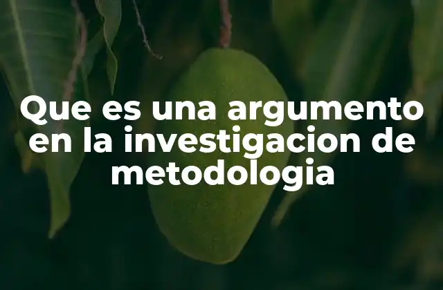 Que es una Argumento en la Investigacion de Metodologia