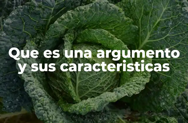 Que es una Argumento y Sus Caracteristicas
