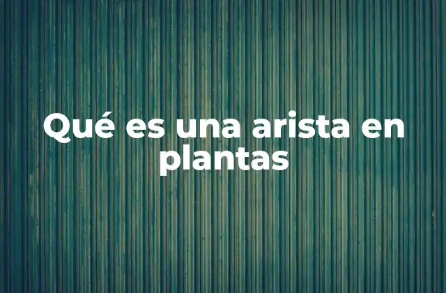 Qué es una Arista en Plantas