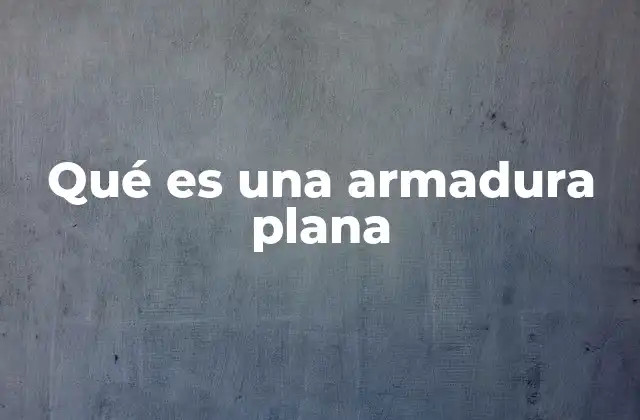 Qué es una Armadura Plana