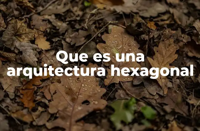 Que es una Arquitectura Hexagonal