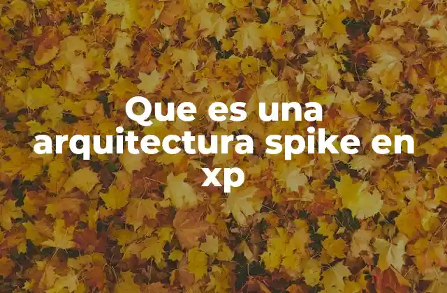 Que es una Arquitectura Spike en Xp