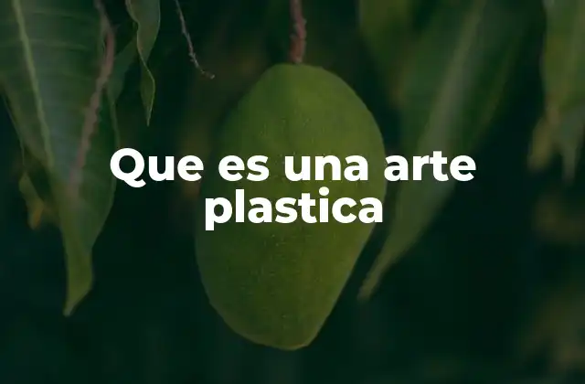 Que es una Arte Plastica