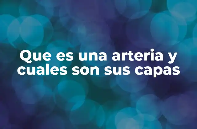 Que es una Arteria y Cuales Son Sus Capas