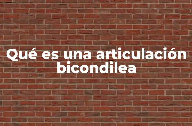 Estructura y características de la articulación bicondilea