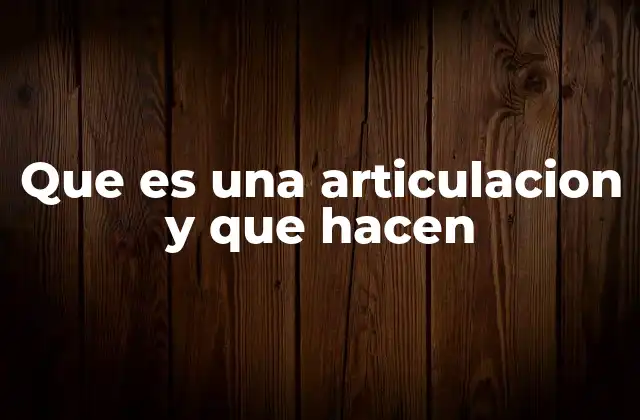 Que es una Articulacion y que Hacen