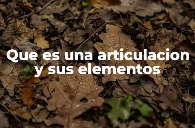 Que es una Articulacion y Sus Elementos