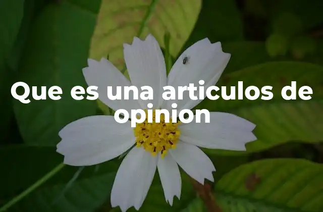Que es una Articulos de Opinion