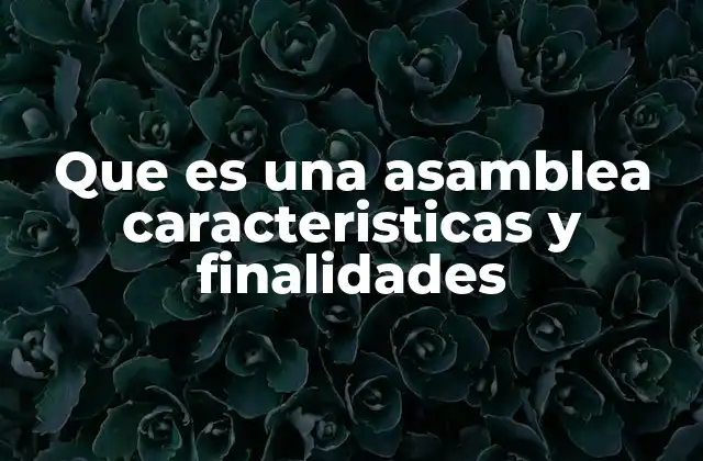 Que es una Asamblea Caracteristicas y Finalidades 2 La importancia de las asambleas en la participación ciudadana