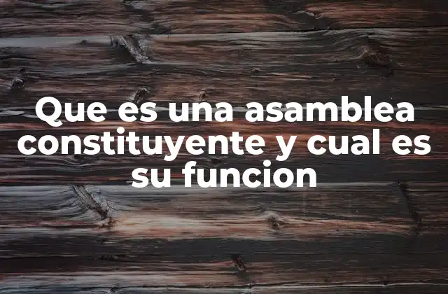 Que es una Asamblea Constituyente y Cual es Su Funcion
