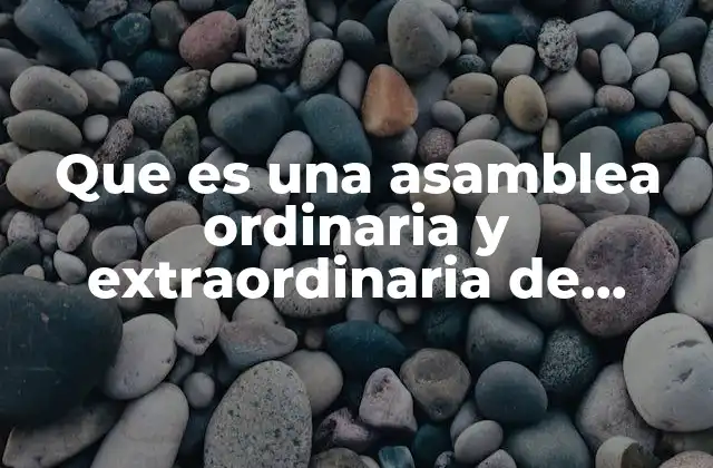 Que es una Asamblea Ordinaria y Extraordinaria de Accionistas