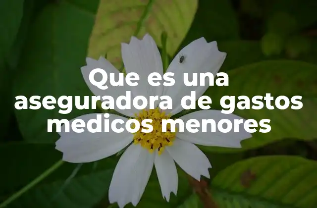 Que es una Aseguradora de Gastos Medicos Menores
