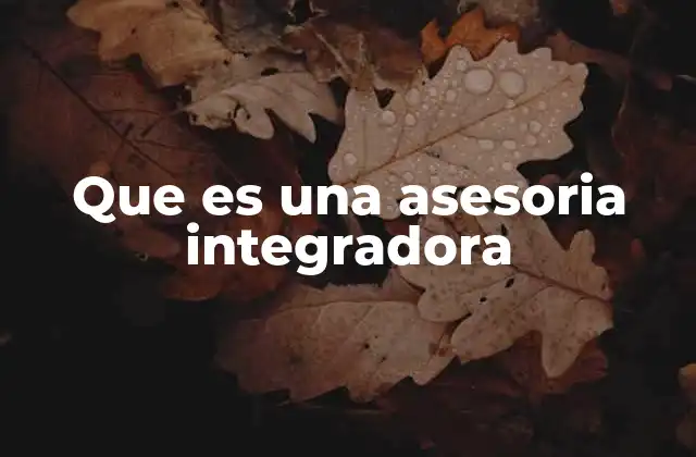 Que es una Asesoria Integradora 2 El papel de la asesoria integradora en la toma de decisiones empresariales