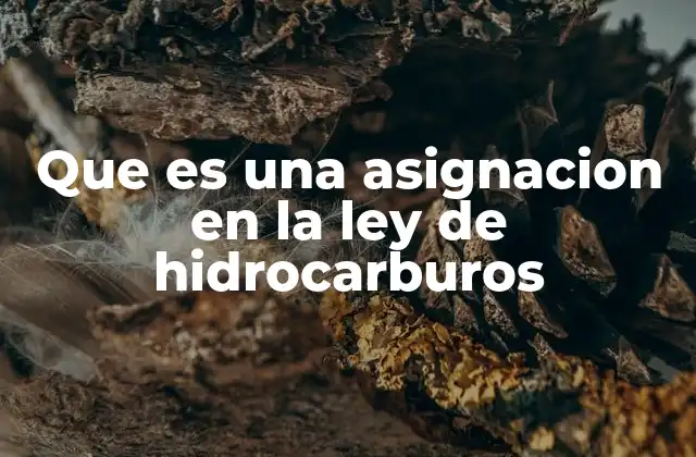 Que es una Asignacion en la Ley de Hidrocarburos