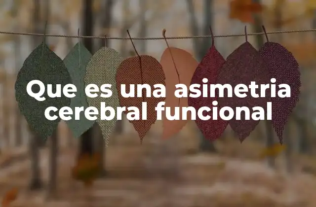 Que es una Asimetria Cerebral Funcional
