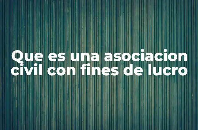 Que es una Asociacion Civil con Fines de Lucro