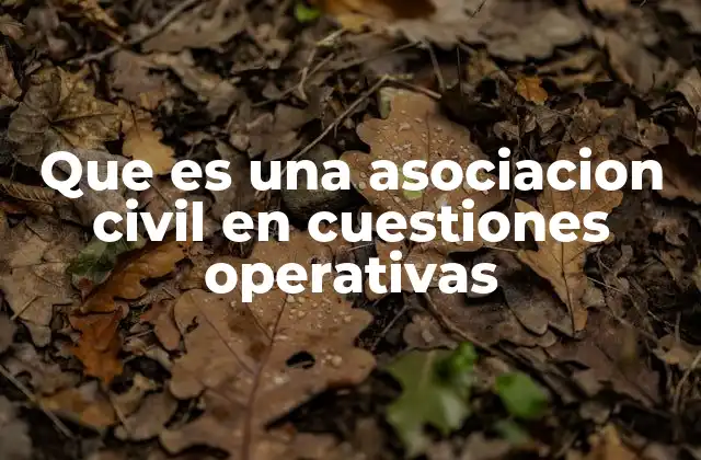 Que es una Asociacion Civil en Cuestiones Operativas