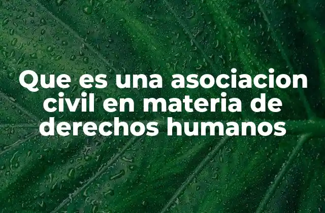 Que es una Asociacion Civil en Materia de Derechos Humanos