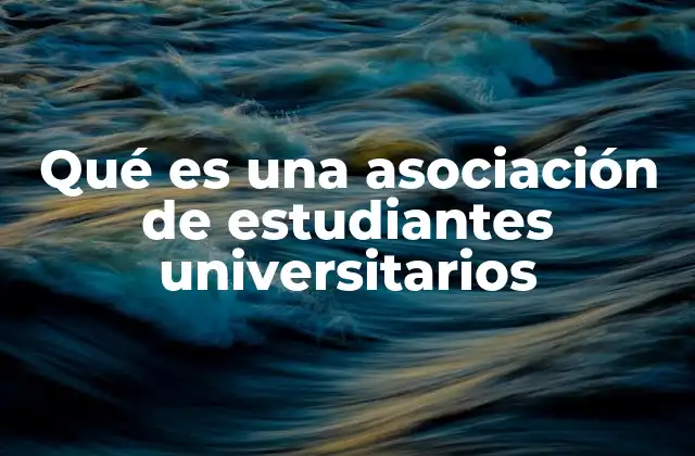 Qué es una Asociación de Estudiantes Universitarios