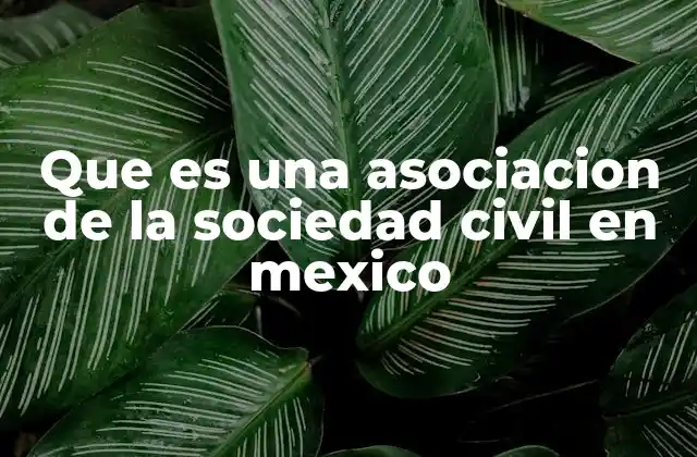 Que es una Asociacion de la Sociedad Civil en Mexico