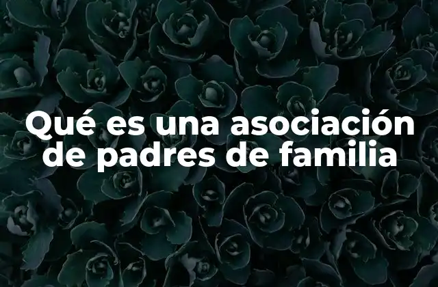 Qué es una Asociación de Padres de Familia